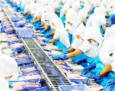 Seafood exports: Will they prosper in 2024?