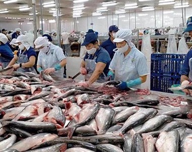 Seafood exports are back on the growth track