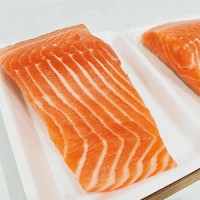 Fresh Salmon Fillet