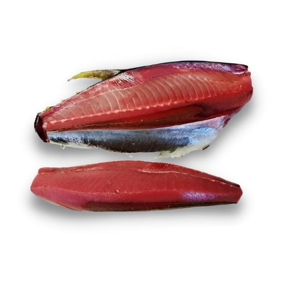 Frozen ocean tuna